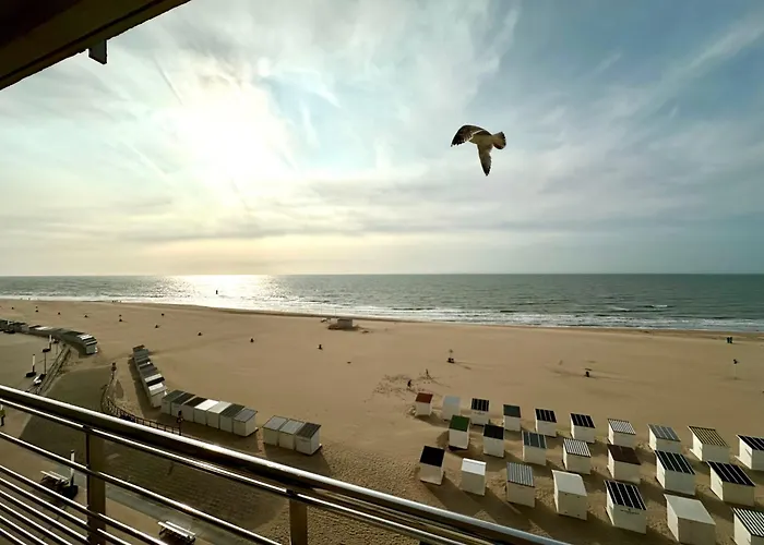 K Sunrise Lejlighed *